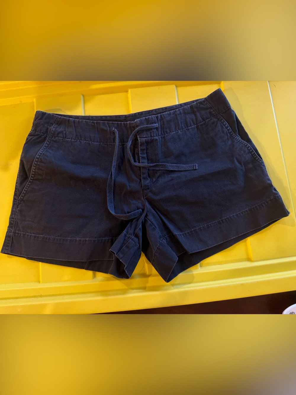 GAP Dark Navy Casual Shorts